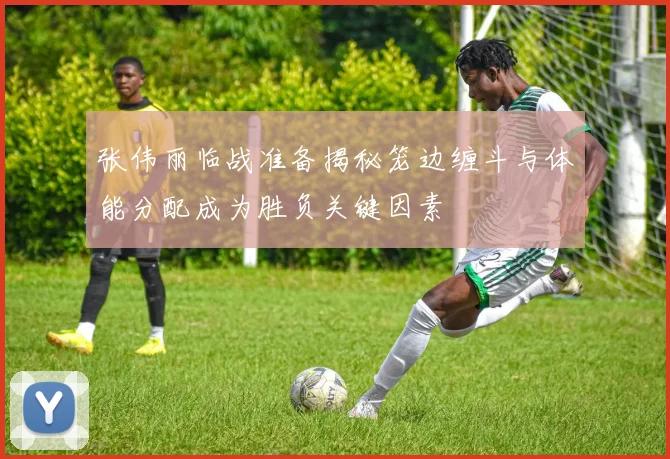 张伟丽临战准备揭秘笼边缠斗与体能分配成为胜负关键因素